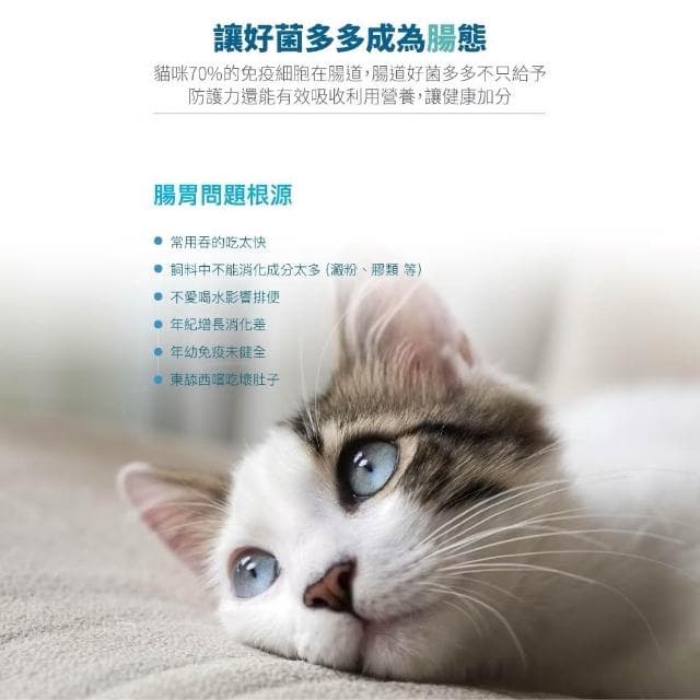 【MORESON 木入森】貓咪益生菌 15包 30包/盒 活菌寶(腸胃保健 幫助消化 貓咪保健品 貓咪保養品)