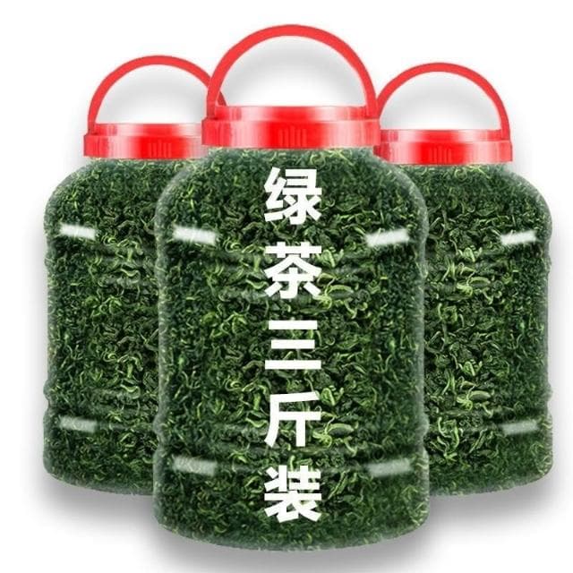Camelliar 2024新茶葉日照散裝綠茶茶葉 高山雲霧綠茶濃香 炒青綠茶
