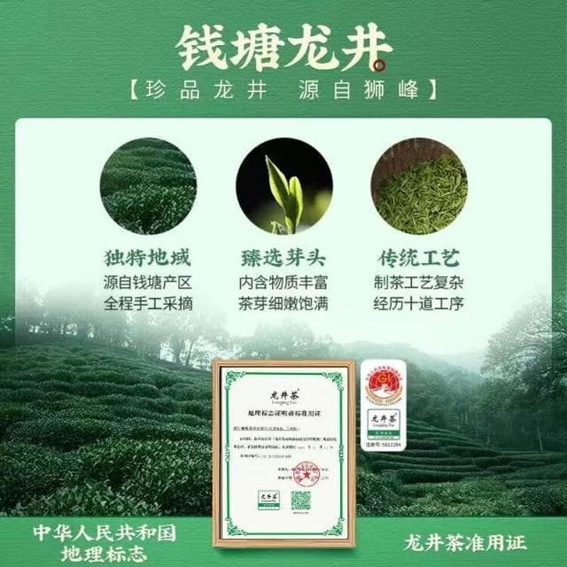 Camelliar 明前龍井茶 一級龍井 43春茶 杭州綠茶 正宗 2025年 新茶