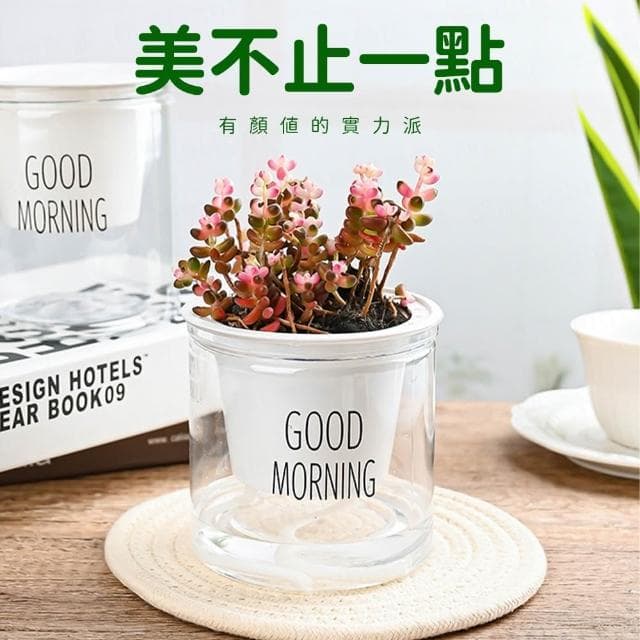 吸水花盆 懶人花盆 吸水花盆 透明花盆 水培花盆 懶人盆栽 植物花盆 自動吸水花盆 透明花盆 水培花盆