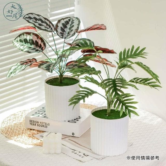 大好屋 仿真居家系觀葉植物盆組 龜背葉 春雨葉 仿真綠植 綠化盆栽 室內擺件