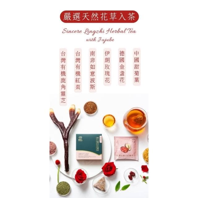 靈芝草人 真心靈芝紅棗茶 (全素)   3包入/盒 老婆 母親  生日禮物 附提袋