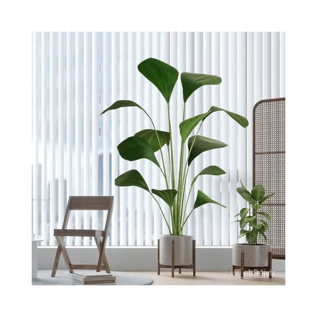 仿真圓葉樹 熱帶植物 蘇門答臘棕梠 大型北歐仿真植物 落地裝飾假盆栽 圓葉棕櫚 假樹 室內綠植擺件