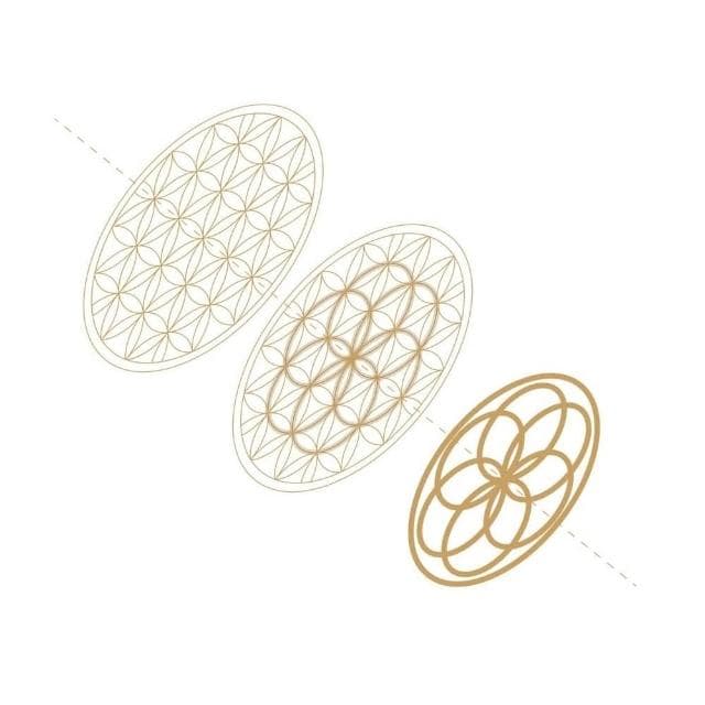 【招財揪吉】揪吉千財 招財禮盒 內附生命之花能量錢幣 入厝 搬家 開店 送禮 聚寶 發財 木盒