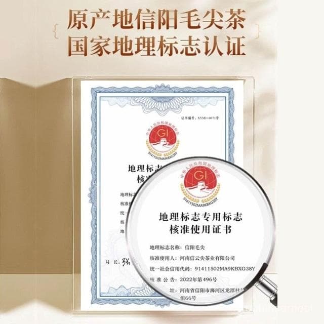 求求TW     【信雲尖】信陽毛尖茶葉綠茶2024新茶雨前嫩芽尖濃香耐泡罐裝散裝