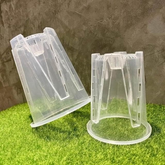 《斑啾植選》內建空氣柱透明高腳盆｜14cm(控根盆｜觀葉專用盆｜蘭花盆｜觀葉植物｜斑葉｜龜背芋｜室內植物｜盆栽)