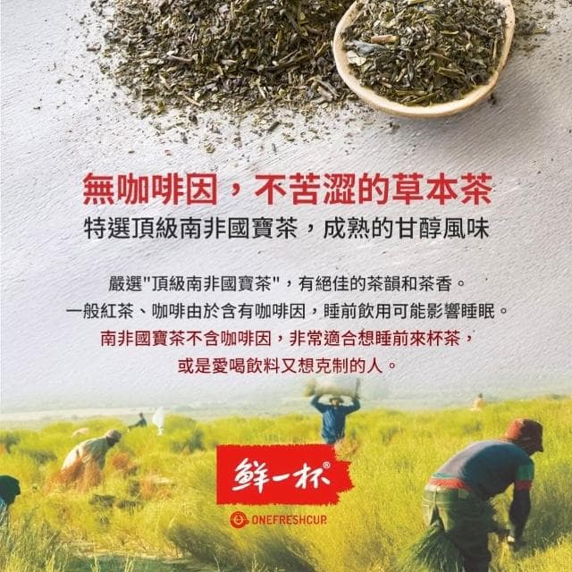 【鮮一杯】南非國寶茶 國寶綠茶 80包/袋 茶包 無咖啡因 可回沖 冷泡茶包 紅茶包 綠茶包 零負擔 沖泡飲品 國寶茶