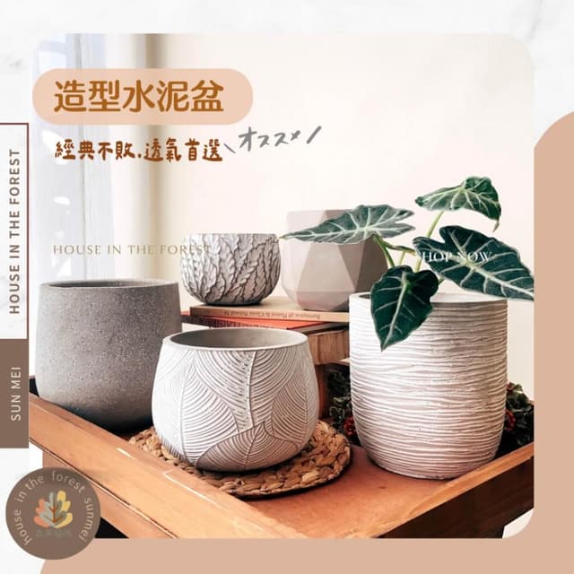 水泥盆 大口徑花盆 綠植 種植 盆栽 園藝植物 器皿 圓形 育苗花盆