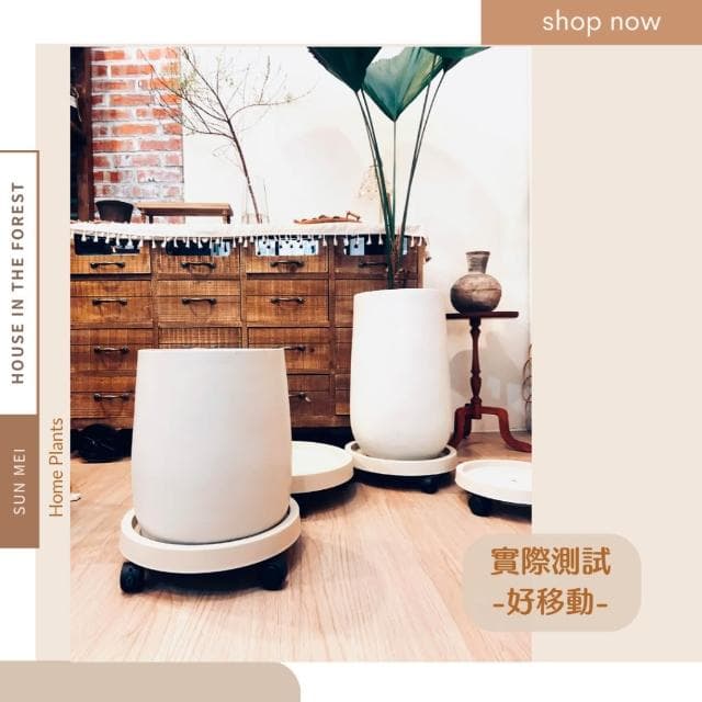 底盤 移動底盤 滾輪底盤 移動式接水盤水盤 接水盤 盆栽 盆栽容器 盆栽底盤 植物底座 花架