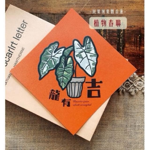 春聯 創意春聯 植物春聯 觀葉春聯 斗方手繪春聯 文創春聯 招財 開運植栽