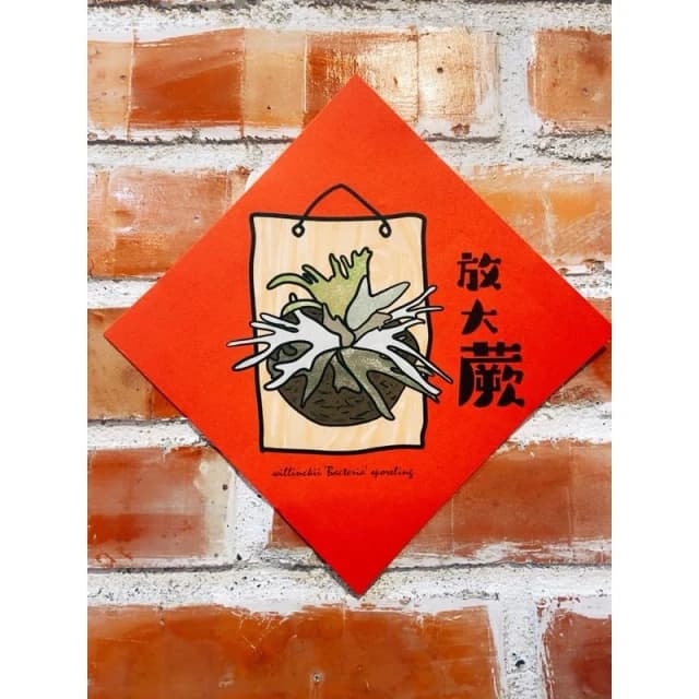 春聯 創意春聯 植物春聯 觀葉春聯 斗方手繪春聯 文創春聯 招財 開運植栽