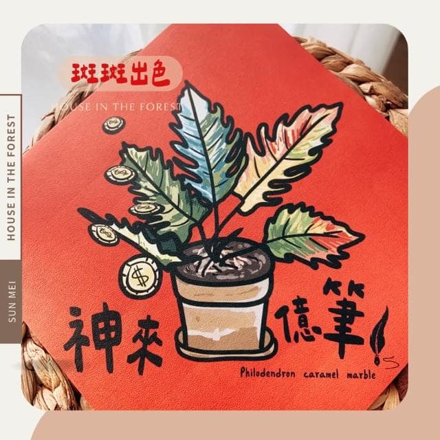 春聯 創意春聯 植物春聯 觀葉春聯 斗方手繪春聯 文創春聯 招財 開運植栽