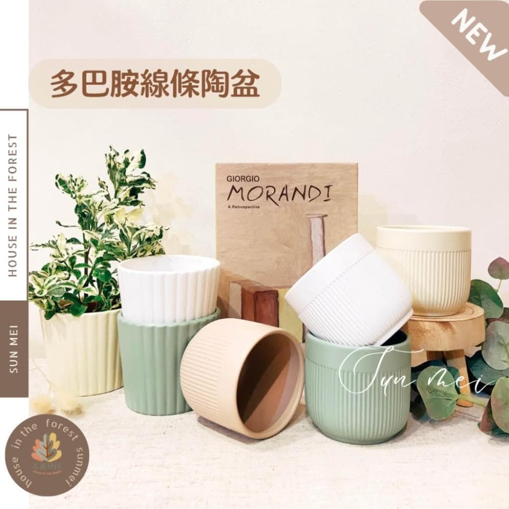 陶盆 多巴胺線條陶盆 花盆 花器 花架 花瓶 觀葉植物 多肉植物 植栽 植物 室內植栽 辦公室植栽