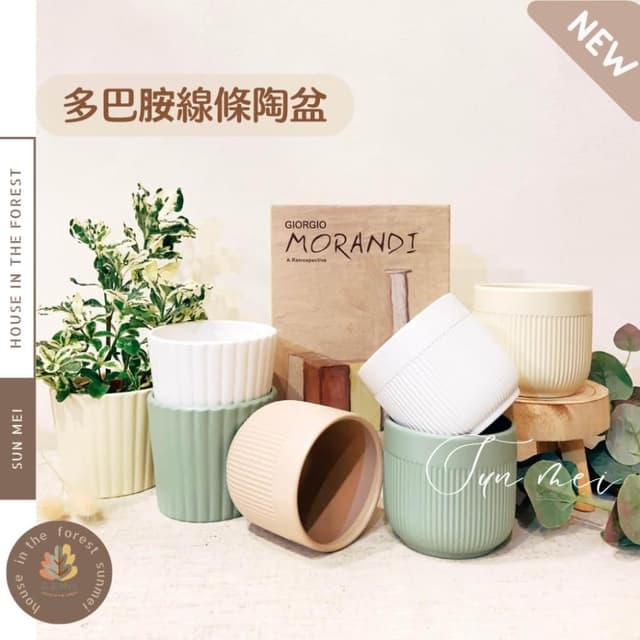 陶盆 多巴胺線條陶盆 花盆 花器 花架 花瓶 觀葉植物 多肉植物 植栽 植物 室內植栽 辦公室植栽