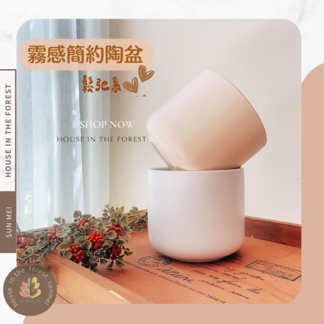 陶盆 霧感簡約陶盆 花盆 花器 盆器 居家裝飾 居家擺設 送禮植栽 送禮花 觀葉植物 多肉植物