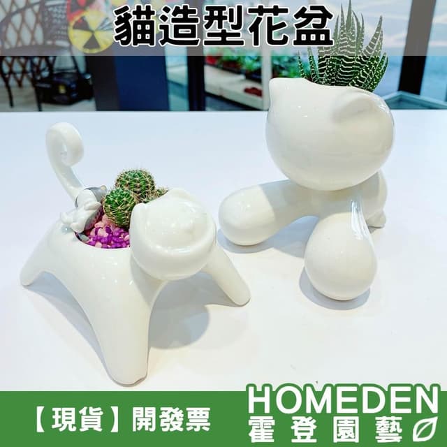 貓造型花盆 1吋 小臉貓 大嘴巴 陶瓷花盆 花器 燭台 多肉植物 仙人掌 迷你盆栽【HOMEDEN霍登園藝】