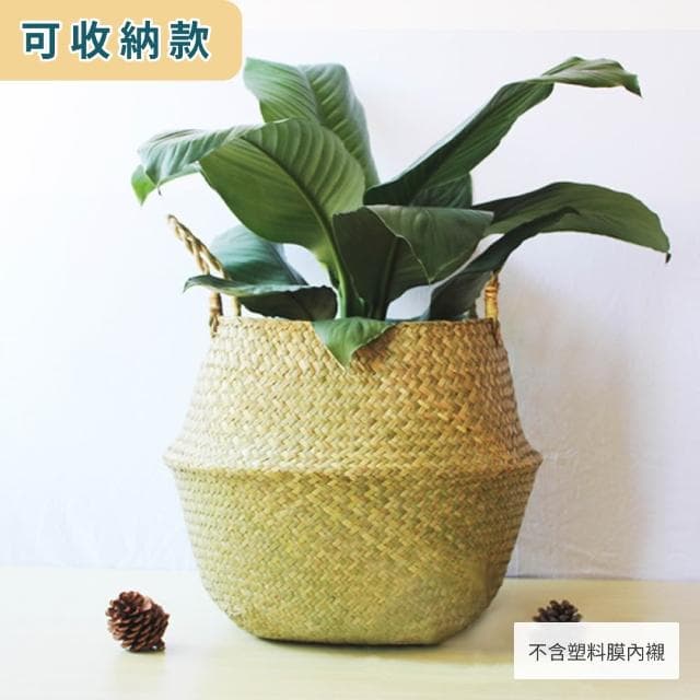 草編花籃 龜背芋 觀葉植物 竹籃 花籃 草編籃 摺疊籃 海草編織籃 室內盆栽北歐風【HOMEDEN霍登園藝】