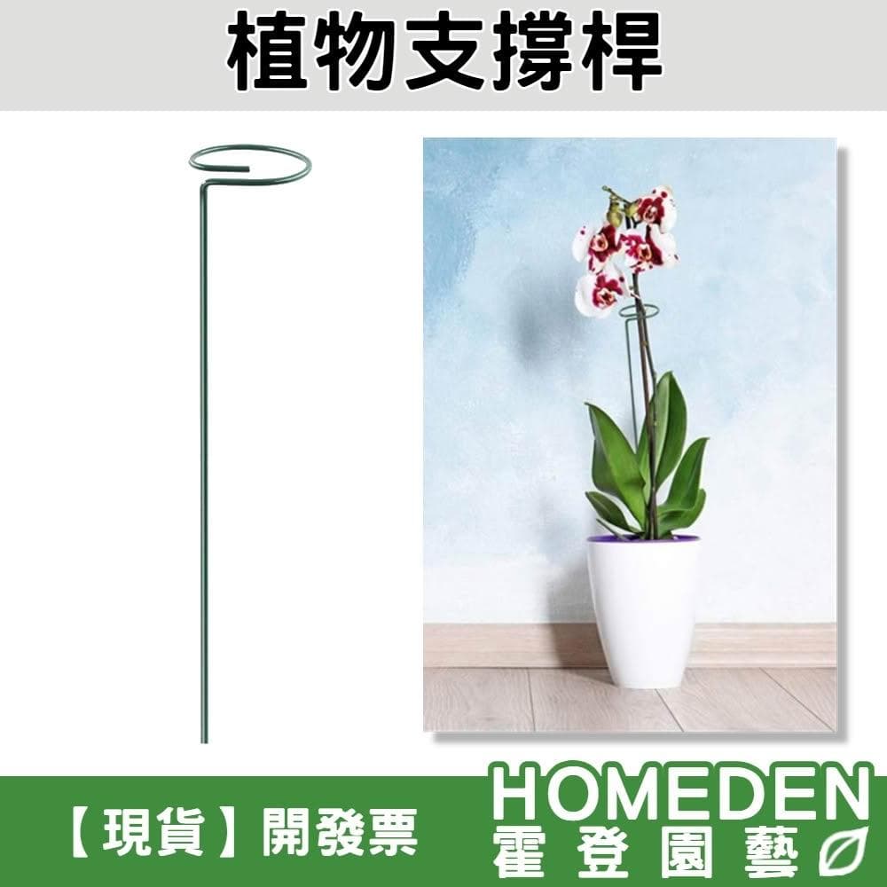 植物支撐桿 植物支架 蘭花支架 蝴蝶蘭 多肉植物 盆栽支架 花架 植物固定【HOMEDEN霍登園藝】