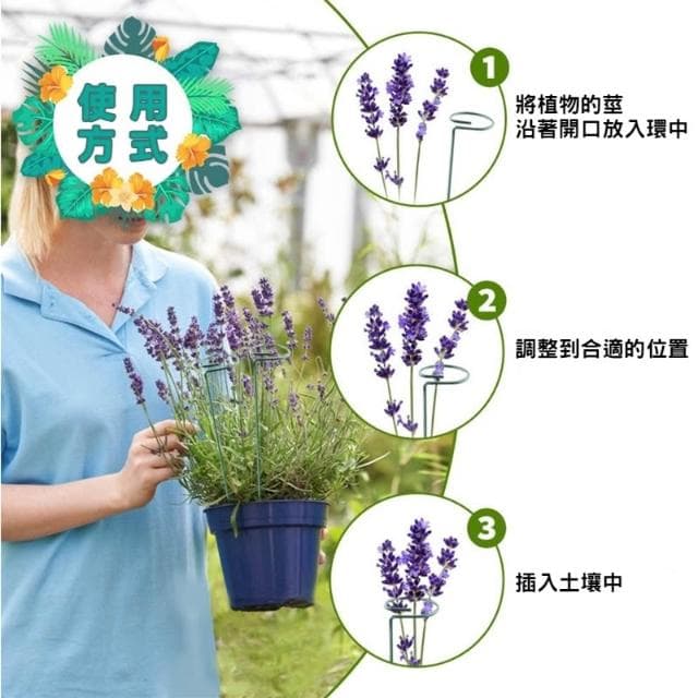 植物支撐桿 植物支架 蘭花支架 蝴蝶蘭 多肉植物 盆栽支架 花架 植物固定【HOMEDEN霍登園藝】