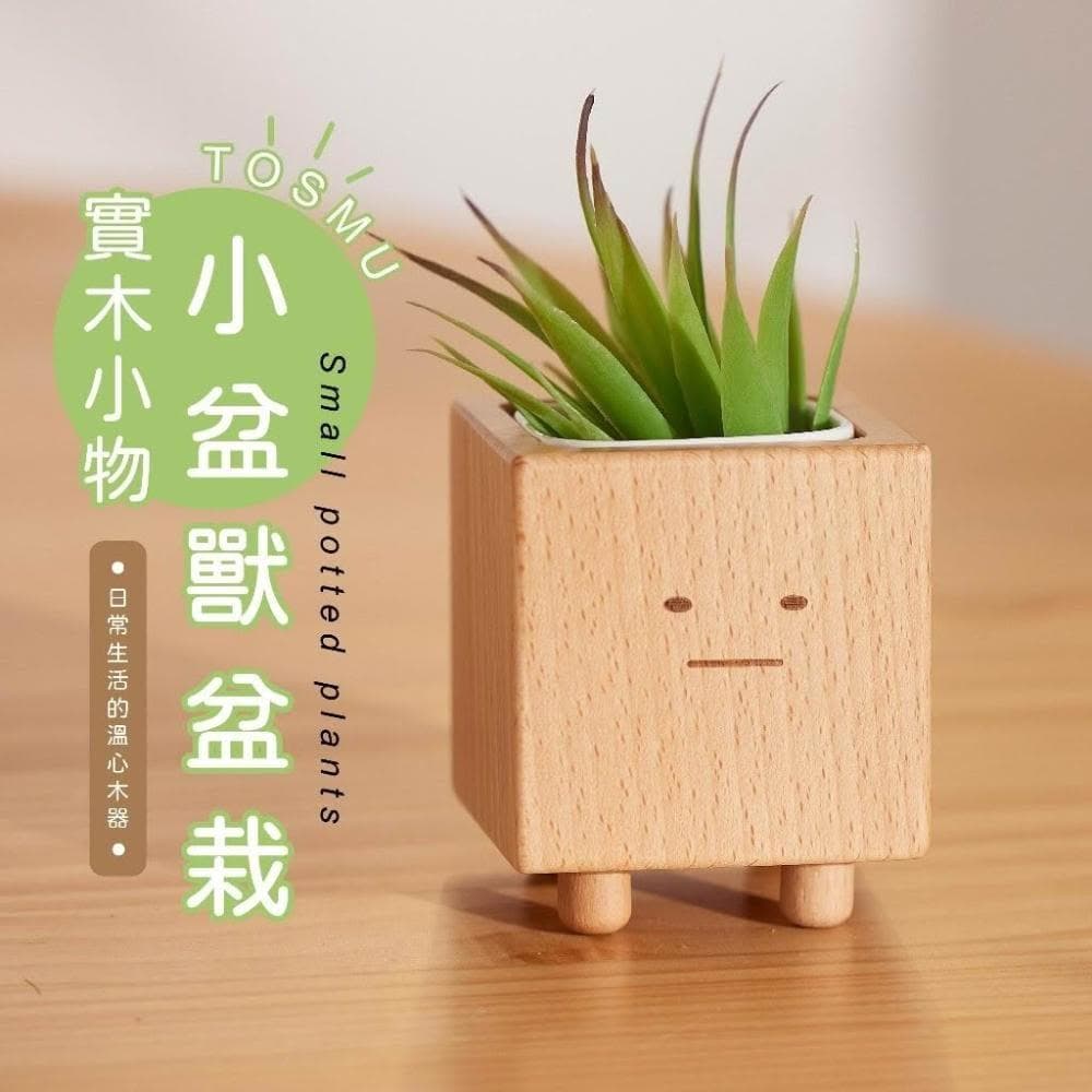 台灣設計  小盆獸盆栽 造型花器 方形盆器 花盆 室內小盆栽 交換禮物 生日禮物 童心木 TOSMU 多肉