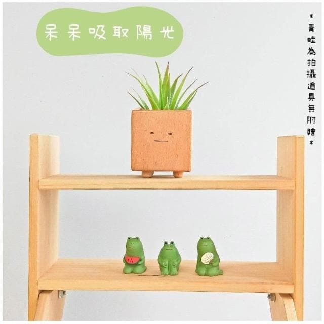 台灣設計  小盆獸盆栽 造型花器 方形盆器 花盆 室內小盆栽 交換禮物 生日禮物 童心木 TOSMU 多肉