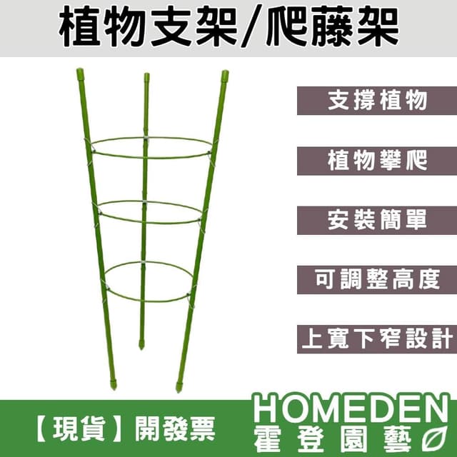 三環植物支架 爬藤架 盆栽支撐架 花架 支撐架 園藝支架 植物架 龜甲龍 山烏龜【HOMEDEN霍登園藝】