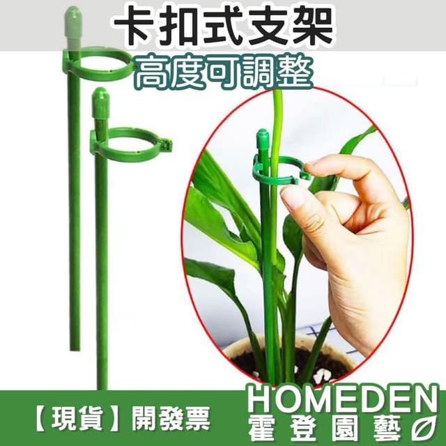 卡扣式支架 植物支架 爬藤支架 植物支撐架 盆栽支架 支撐桿 固定桿 花架 蘭花夾【HOMEDEN霍登園藝】