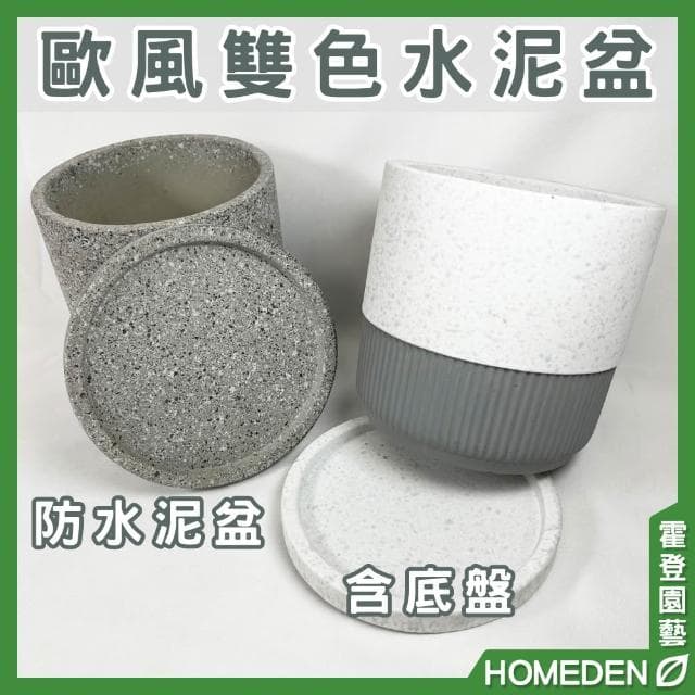 歐風雙色水泥盆 水泥盆 陶瓷盆 陶盆 花盆花器 多肉盆 觀葉植物花盆 居家盆栽【HOMEDEN霍登園藝】