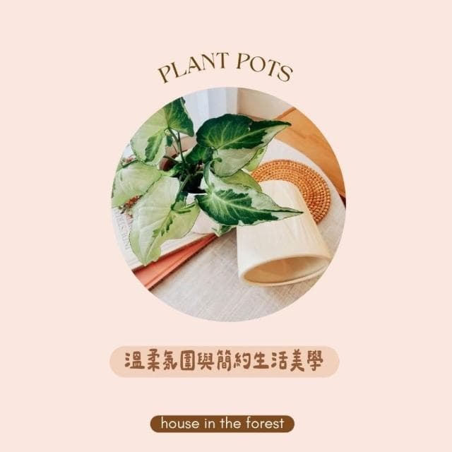 陶盆 奶油風格陶盆 簡約素燒花器 觀葉植物專用 辦公室植栽首選花盆