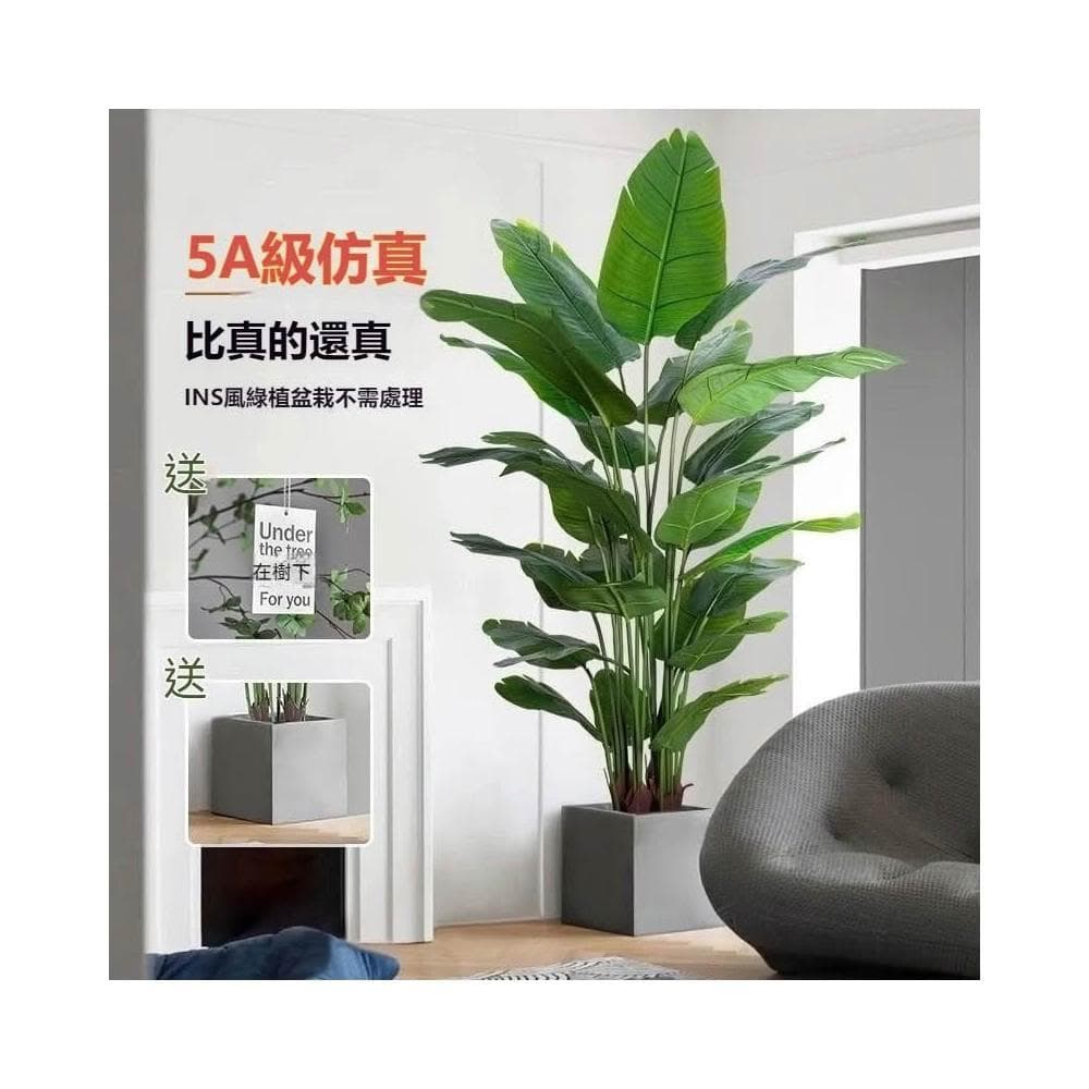 部分現貨🔥仿真綠植 高端輕奢仿生花客廳大型室內盆栽 擺件裝飾樹假植物 仿真植物 假植物 假植物裝飾擺件 假盆