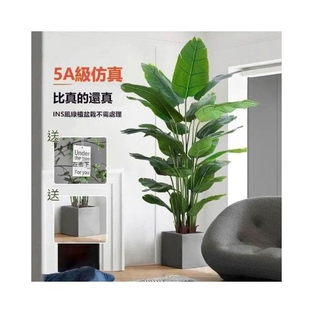 部分現貨🔥仿真綠植 高端輕奢仿生花客廳大型室內盆栽 擺件裝飾樹假植物 仿真植物 假植物 假植物裝飾擺件 假盆