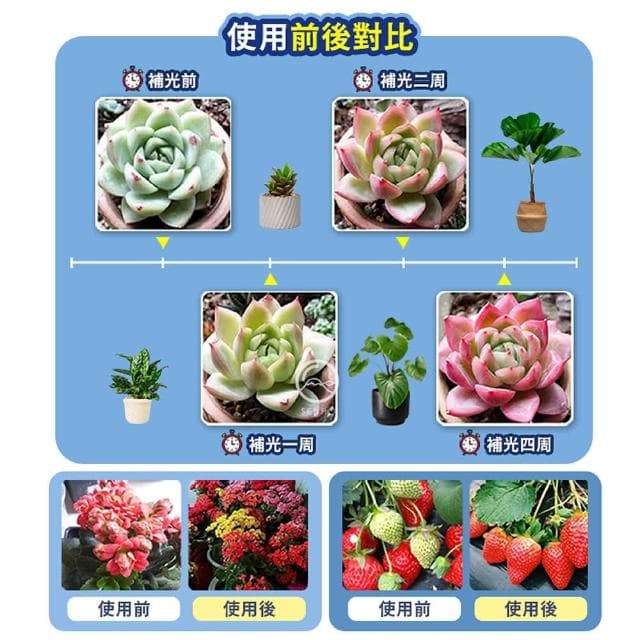 舒米好物 LED植物燈 四管 十檔調光(全光譜 植物生長燈 植物日照燈 植物燈管 多肉燈 夾燈 盆栽燈)