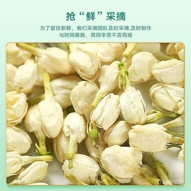 NANA優選 茉莉花茶2023年新茶茉莉花茶葉濃香型幹花可搭配玫瑰花菊花茶