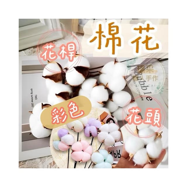 【璟采職人】乾燥棉花 棉花 棉花頭 永生花 乾燥花材 果實 聖誕裝飾 聖誕配件 聖誕節 聖誕樹 聖誕佈置 藤圈配件 禮物