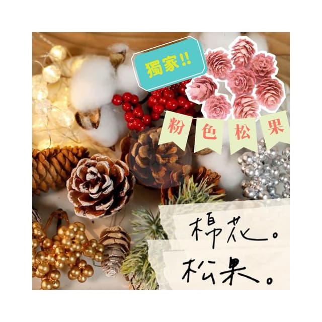 【璟采職人】松果 美國松 原色松果 松塔 乾燥花材 果實 聖誕裝飾 聖誕配件 聖誕節 聖誕樹 聖誕佈置 藤圈配件 禮物