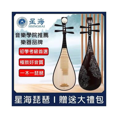 琵琶 星海 專業演奏級+下單即送：豪華大禮包 琵琶樂器 初學者  成人 民族樂器 考級琵琶 弦樂器 興趣培養 禮物