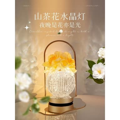 生日禮物女生閨蜜實用的小眾高級感香薰夜燈擺件永生花畢業送老師