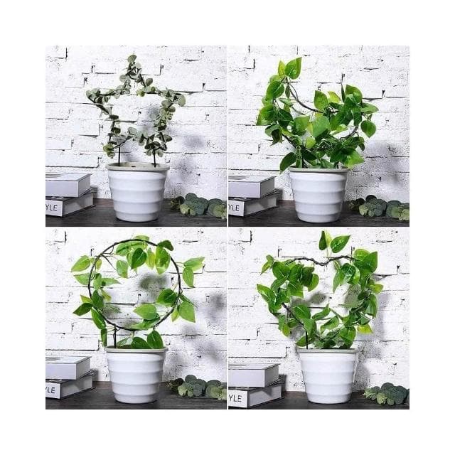 《斑啾植選》造型攀爬架-花園系列(造型花架｜山烏龜架｜金屬支架｜綠蘿支架｜盆栽用支架｜植物攀爬支架)