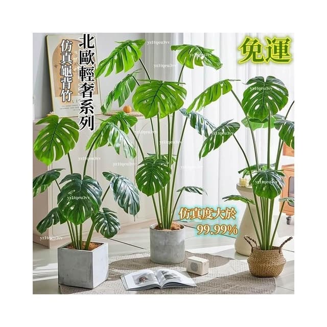 含發票 仿真綠植 龜背竹假植物 大型室內盆栽高端仿生綠植 客廳落地裝飾擺件 假植物 假盆栽 盆栽植物 龜背葉