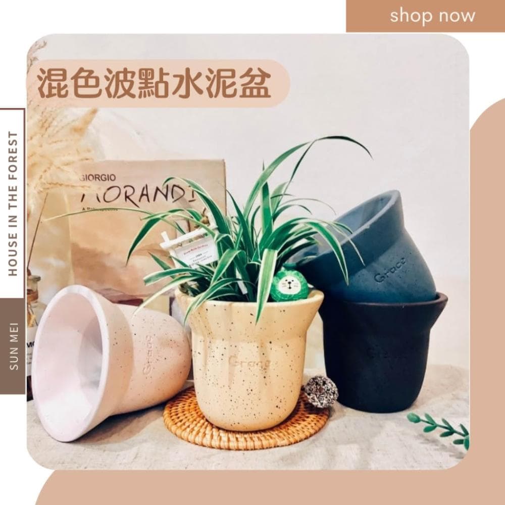 水泥盆 混色波點水泥盆 觀葉植物 多肉植物 塊根 仙人掌  盆器 花器  植栽 辦公室植栽