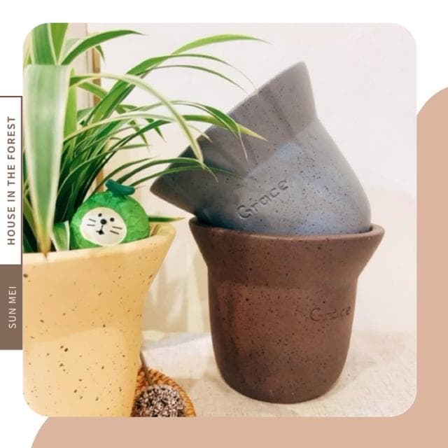 水泥盆 混色波點水泥盆 觀葉植物 多肉植物 塊根 仙人掌  盆器 花器  植栽 辦公室植栽