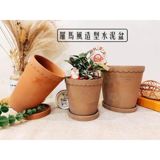 水泥盆 羅馬造型盆 盆器 花器 花瓶 器皿 觀葉 植物 植栽 過年花禮 蘭花 居家裝飾 植物 盆栽