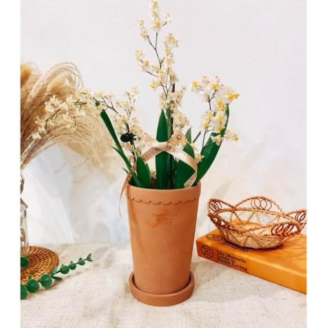水泥盆 羅馬造型盆 盆器 花器 花瓶 器皿 觀葉 植物 植栽 過年花禮 蘭花 居家裝飾 植物 盆栽