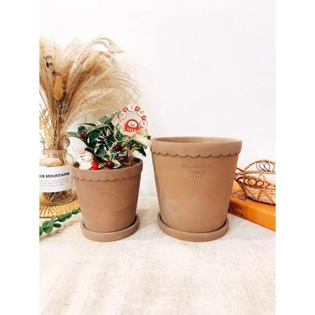 水泥盆 羅馬造型盆 盆器 花器 花瓶 器皿 觀葉 植物 植栽 過年花禮 蘭花 居家裝飾 植物 盆栽