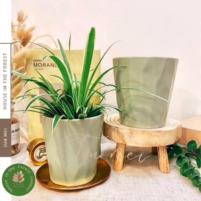 陶盆 經典幾何造型陶盆 花器 花盆 盆器 器皿 觀葉植物 多肉植物