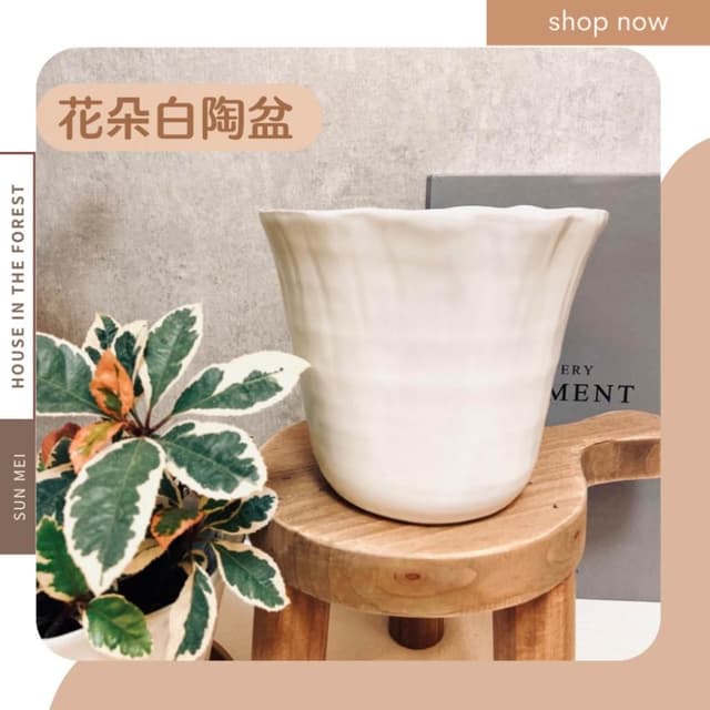 陶盆 花朵白陶盆 陶瓷盆 盆器 花盆 花器 日式風 觀葉植物 多肉植物 虎尾蘭 辦公室植栽花盆