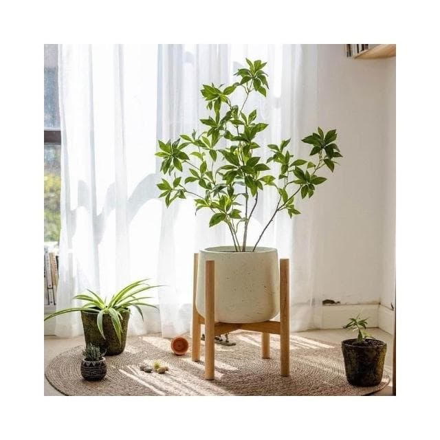 植物架 園藝花架 組裝花盆架 陽臺落地式室內 收納架 室內階梯式小花架實木花架落地北歐十字花架陽臺客廳花盆植物多肉盆栽架