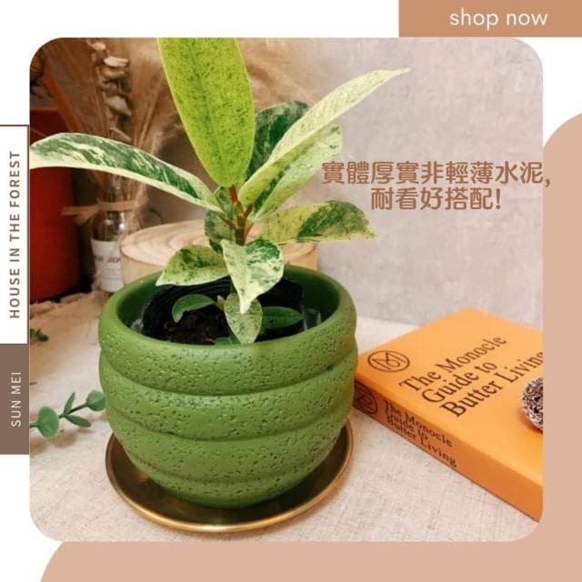 水泥盆 礦感水泥盆 厚實水泥 盆器 盆栽 園藝 植栽 植物 觀葉植物 多肉 塊根 仙人掌