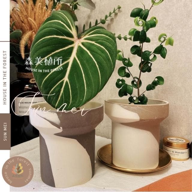 陶盆 韓系INS混色陶盆 觀葉盆 陶燒盆 觀葉植物 辦公室盆栽