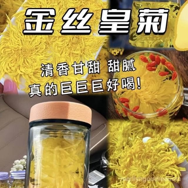 菊花茶金絲皇菊一朵一杯大朵黃菊花獨立便攜菊花草茶葉批髮金絲菊